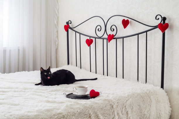 浪漫的装饰图片下载