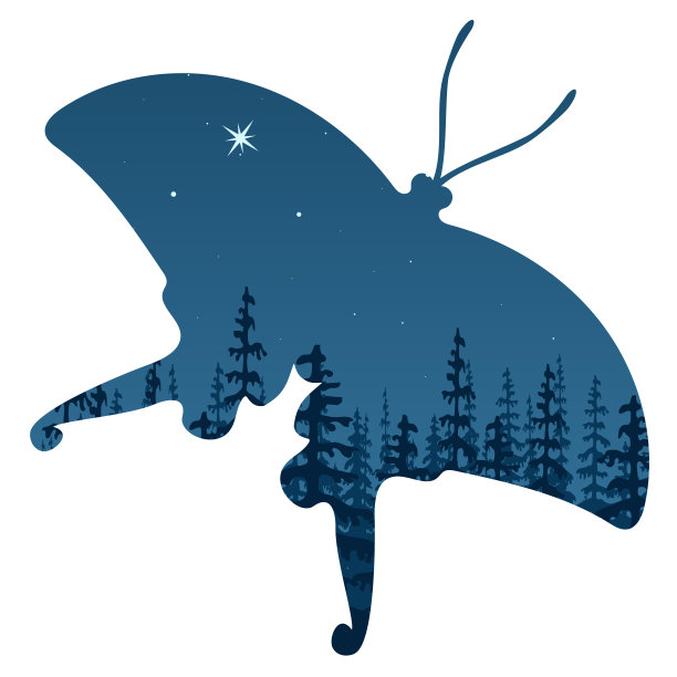 景观与剪影的森林在夜晚通过蝴蝶形状。双重曝光，全景天空，星星，木材，树木，冷杉，薄雾，北极星。图片下载