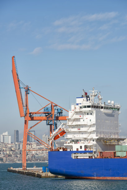 一艘集装箱船停靠在土耳其伊斯坦布尔的海达帕萨码头图片下载