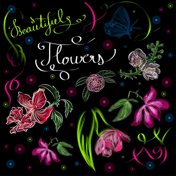 矢量插图的霓虹灯花在黑色的背景。刻字。美丽的霓虹花饰。图片下载