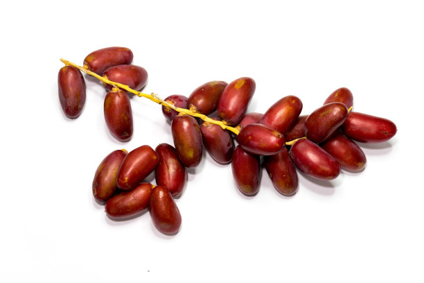 新鲜的红枣图片下载