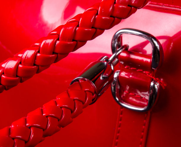 皮包上的配件图片下载