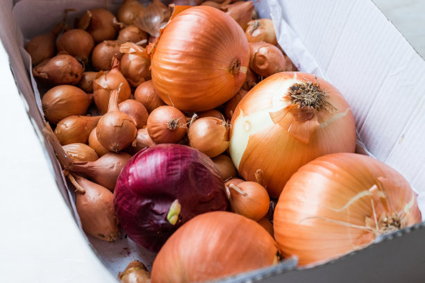 一堆新鲜的有机洋葱，装在装有鳞茎的纸箱里。图片下载