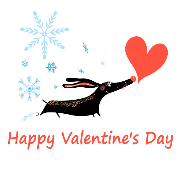 贺卡迷恋腊肠犬图片下载