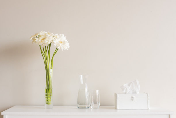 白非洲菊在水壶和纸巾盒里图片下载