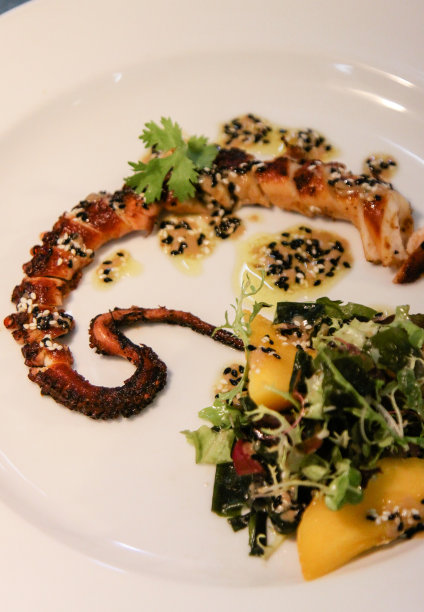 美食章鱼图片下载