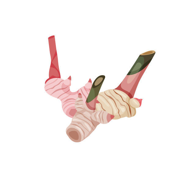 高良姜图片下载