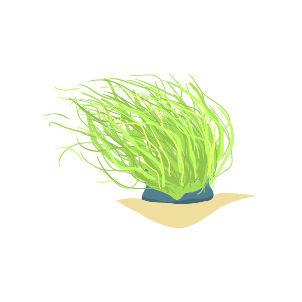 平面插图的长绿色海洋植物。沙质海底的珊瑚。海洋植物，水下世界设计图片下载