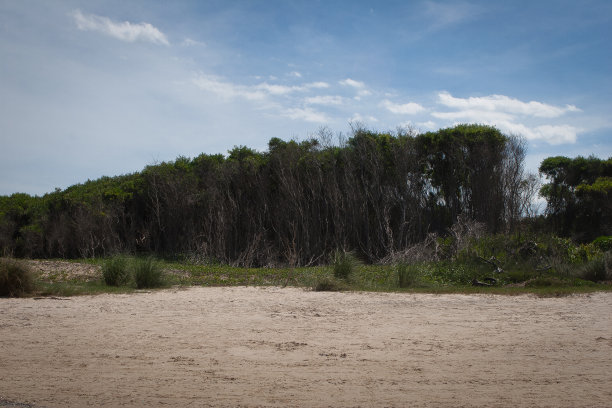 圣特蕾莎修女的海滩图片下载