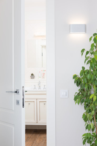 现代壁灯，明亮的白色内饰。浴室的门半开着图片下载