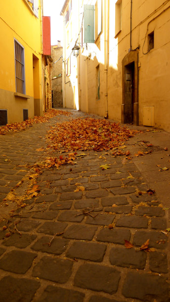 塞雷特的鹅卵石街道图片下载