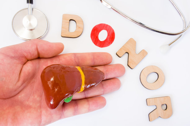 肝脏捐赠和捐赠者概念照片手捐赠。以字母O为标志的3D字母捐赠者，替换丢失的听诊器和肝脏模型，捐献器官图片下载