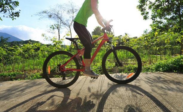 女人骑自行车在日出森林小径图片下载