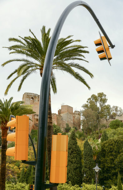 交通灯和棕榈树图片下载