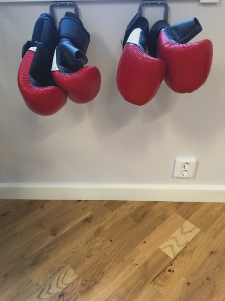 两副拳击手套图片下载