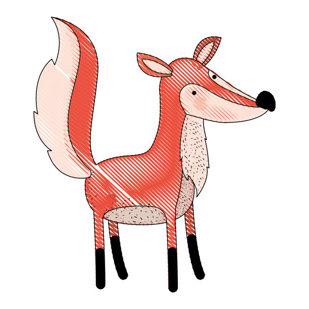 狐狸卡通彩色蜡笔剪影在白色的背景图片下载