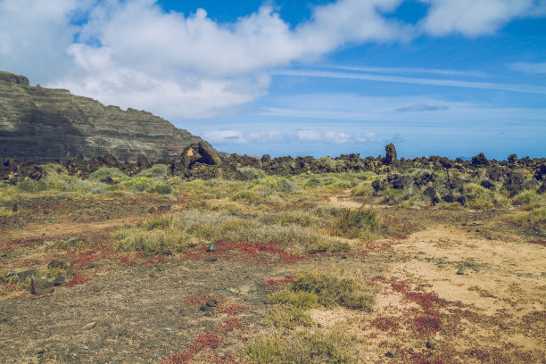 兰瑟罗特的夏日阳光和海滩上的火山岩石。2015年旅游的照片。图片下载
