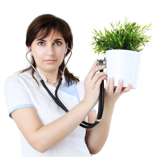 环保理念医生带植物和听诊器图片下载