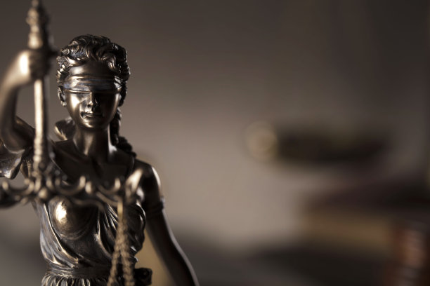 法律图片素材ID：304811400