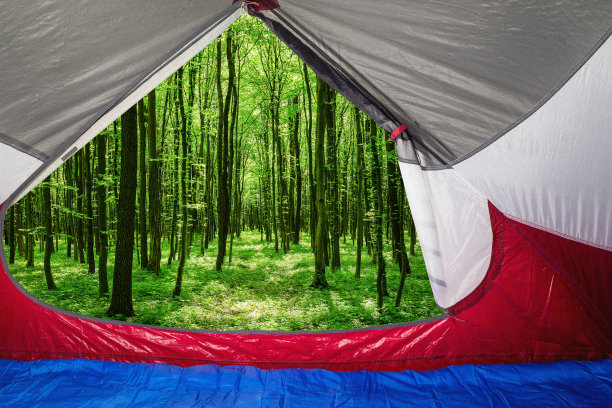 落叶林图片下载