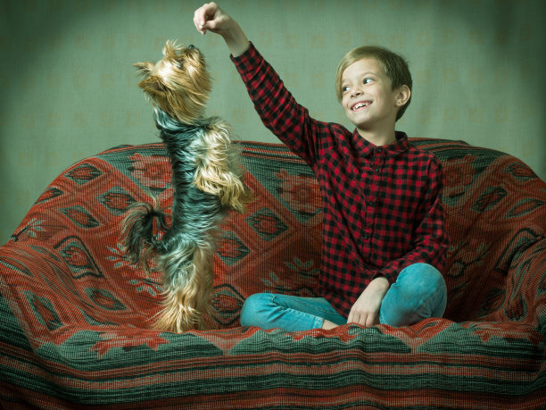 一个穿着格子衬衫和牛仔裤的小女孩坐在沙发上，对着一只训练有素的纯种狗微笑图片下载