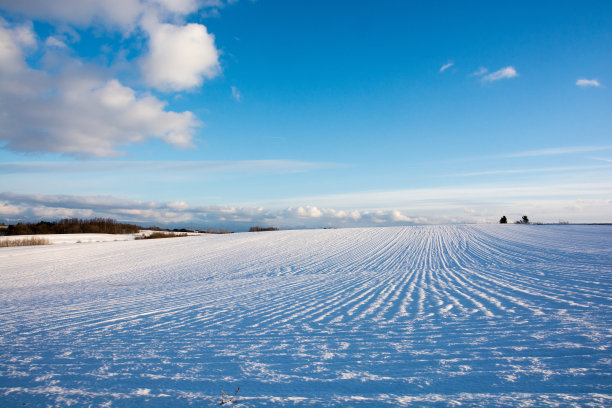 冬天的田野和碧蓝的天空图片下载