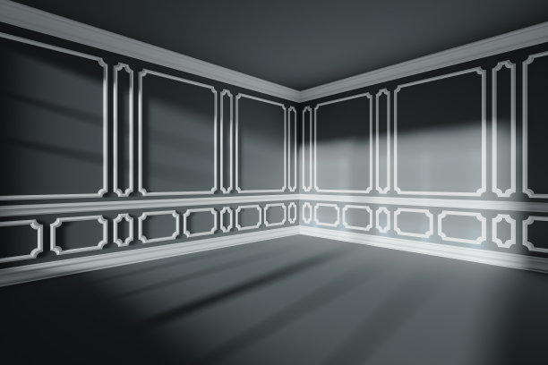 黑色的空房间，白色经典装饰的墙壁，广角图片下载