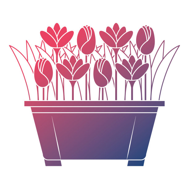 盆中培育的美丽花朵图片下载