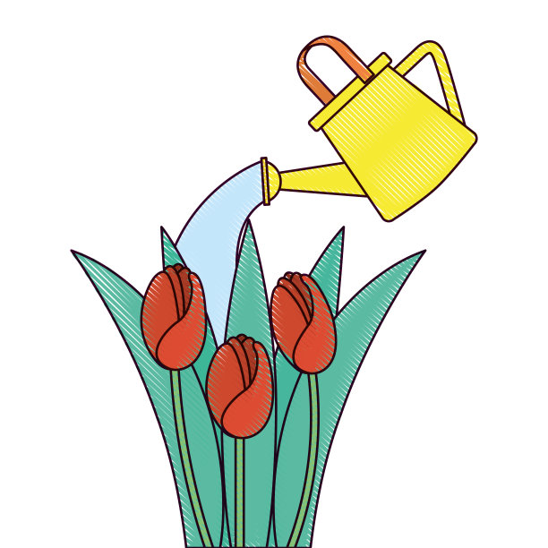 美丽的玫瑰种植与喷头图片下载