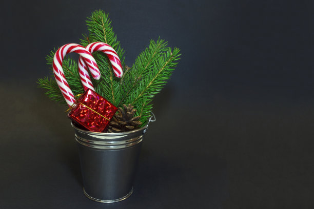 圣诞糖果，圣诞树的树枝，礼物盒和木偶桶里的土包子图片下载