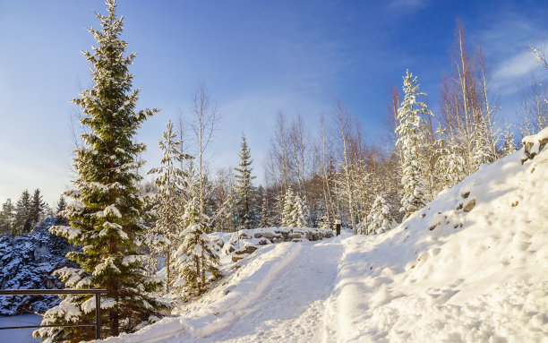 冬季拉斯基阿拉山公园的小路图片下载