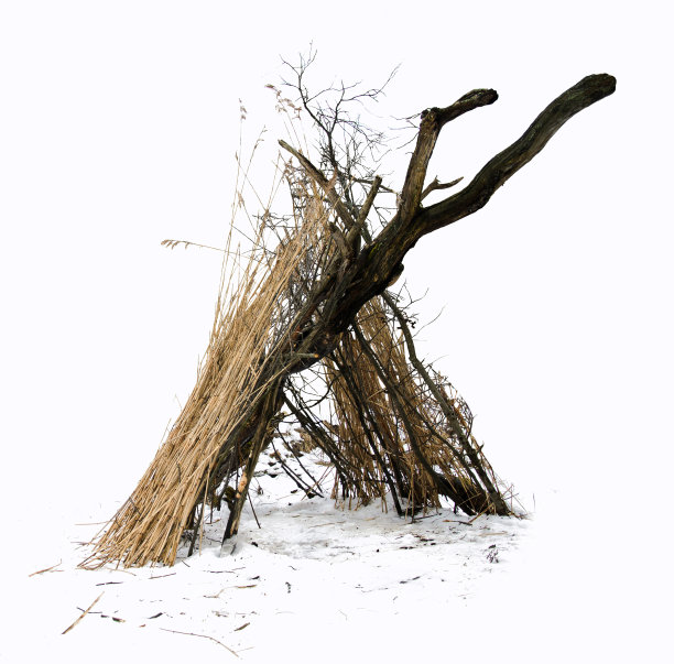 里德小屋图片下载