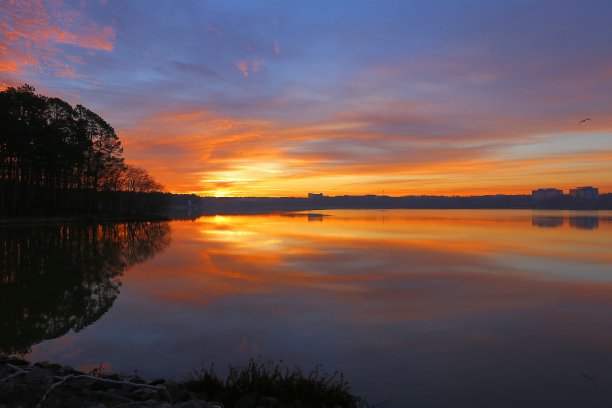 克莱布特里湖县公园的日出图片下载