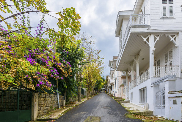伊斯坦布尔的布尤卡达岛图片下载