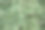 成熟的秋葵堆在市场摊位上素材图片