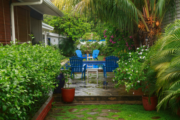 尼加拉瓜的热带殖民地庭院。图片下载