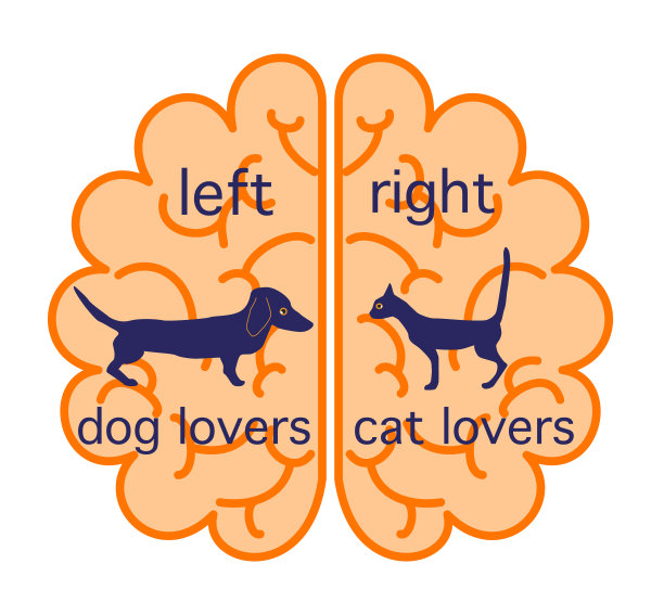 左脑和右脑图片下载
