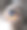 眼睛的狗。特写镜头图片下载