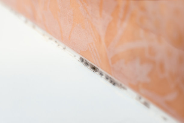 浴室里的密封胶下面有霉菌图片下载