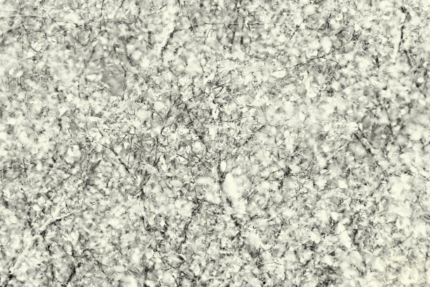 深褐色调抽象树的树叶和树枝背景图片下载