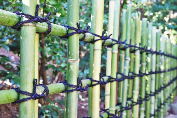 粗糙的竹篱笆图片下载