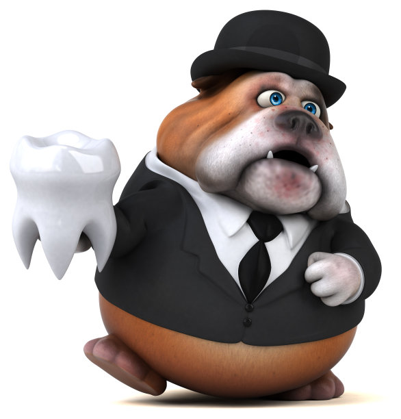 有趣的斗牛犬- 3D插图图片下载