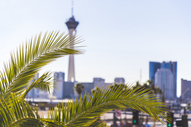 拉斯维加斯图片素材ID：304947948