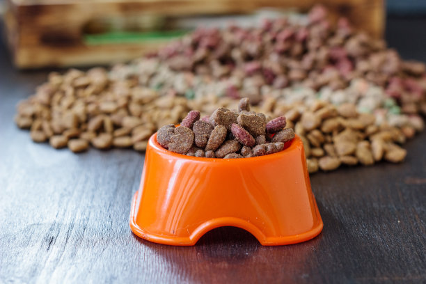 橙色的碗，里面放着干燥的宠物食品。图片下载