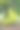 天然新鲜大菠萝蜜果实挂在树上。素材图片
