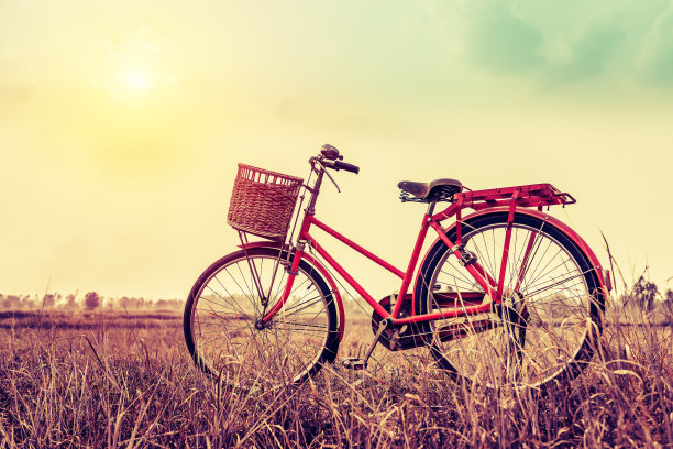 风景图片复古自行车与夏季草地在日落;古董过滤器风格。经典自行车，老式自行车风格的贺卡，明信片图片下载