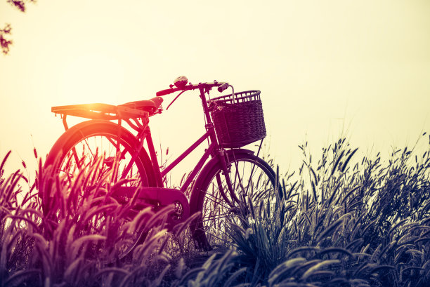 风景图片复古自行车与夏季草地在日落;古董过滤器风格。经典自行车，老式自行车风格的贺卡，明信片图片下载