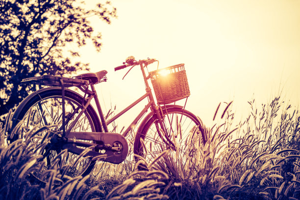 风景图片复古自行车与夏季草地在日落;古董过滤器风格。经典自行车，老式自行车风格的贺卡，明信片图片下载