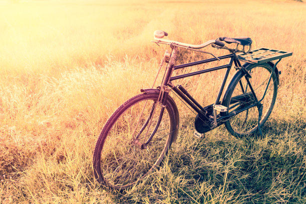 风景图片复古自行车与夏季草地在日落;古董过滤器风格。经典自行车，老式自行车风格的贺卡，明信片图片下载