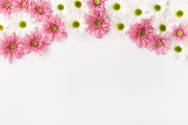 小的粉红色和白色的花蕾图片下载